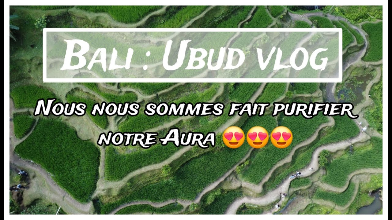 Bali vlog  ubud 3