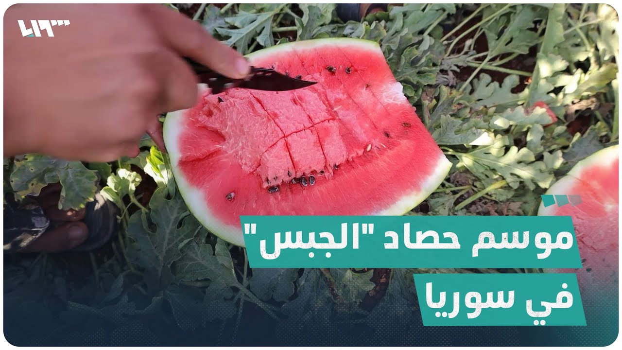 موسم حصاد 