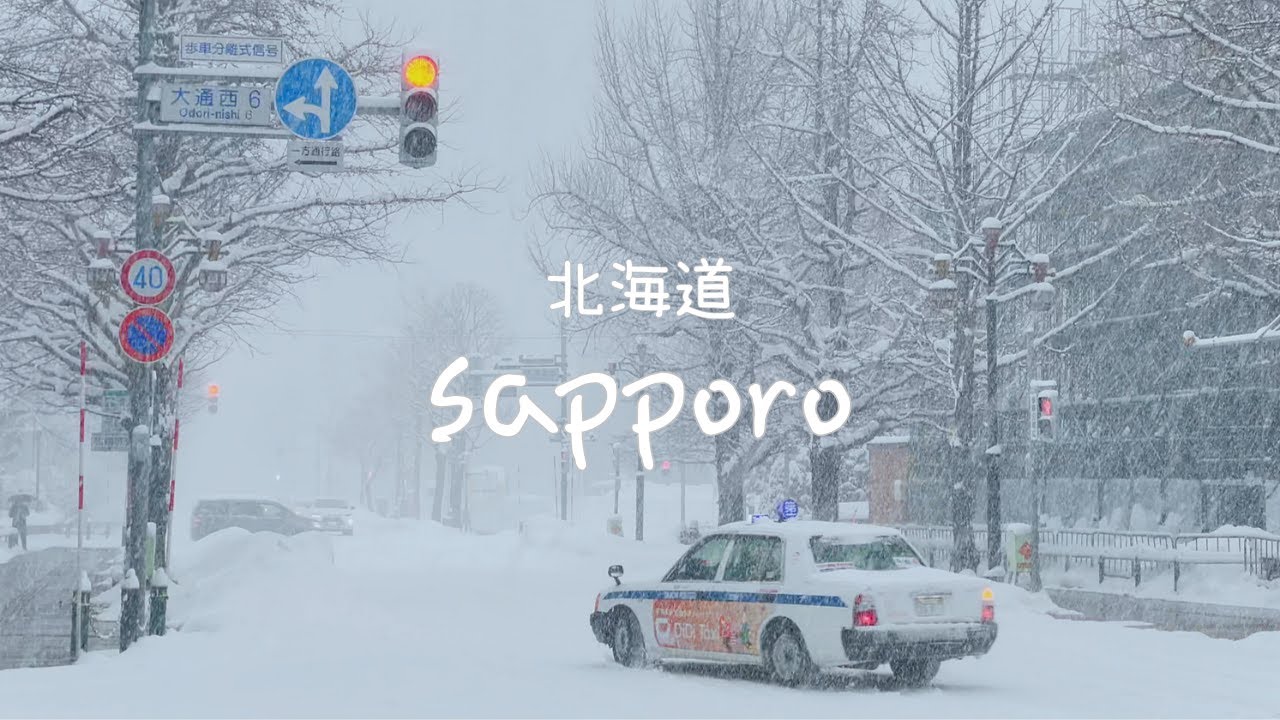 홋카이도 vlog.❄️ 1인칭 시점 나홀로 해외여행 | 삿포로, 오타루, 비에이 겨울여행 브이로그