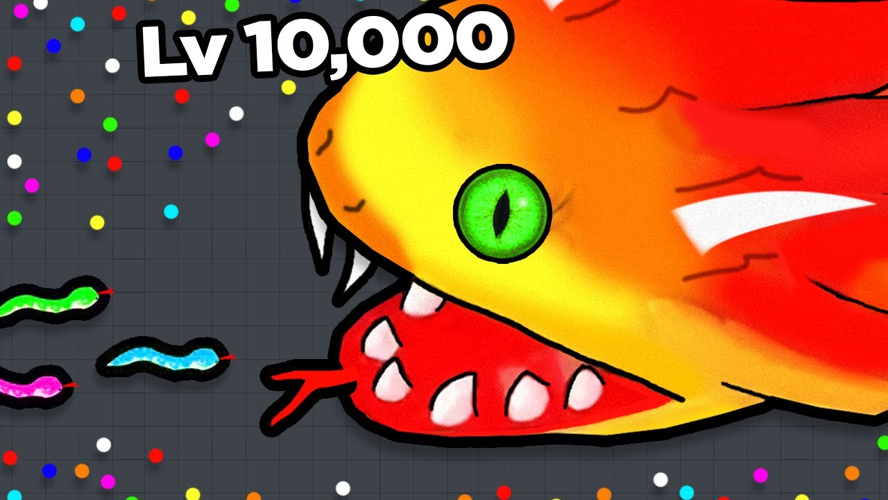 Upgrading my SNAKE to MAX LEVEL