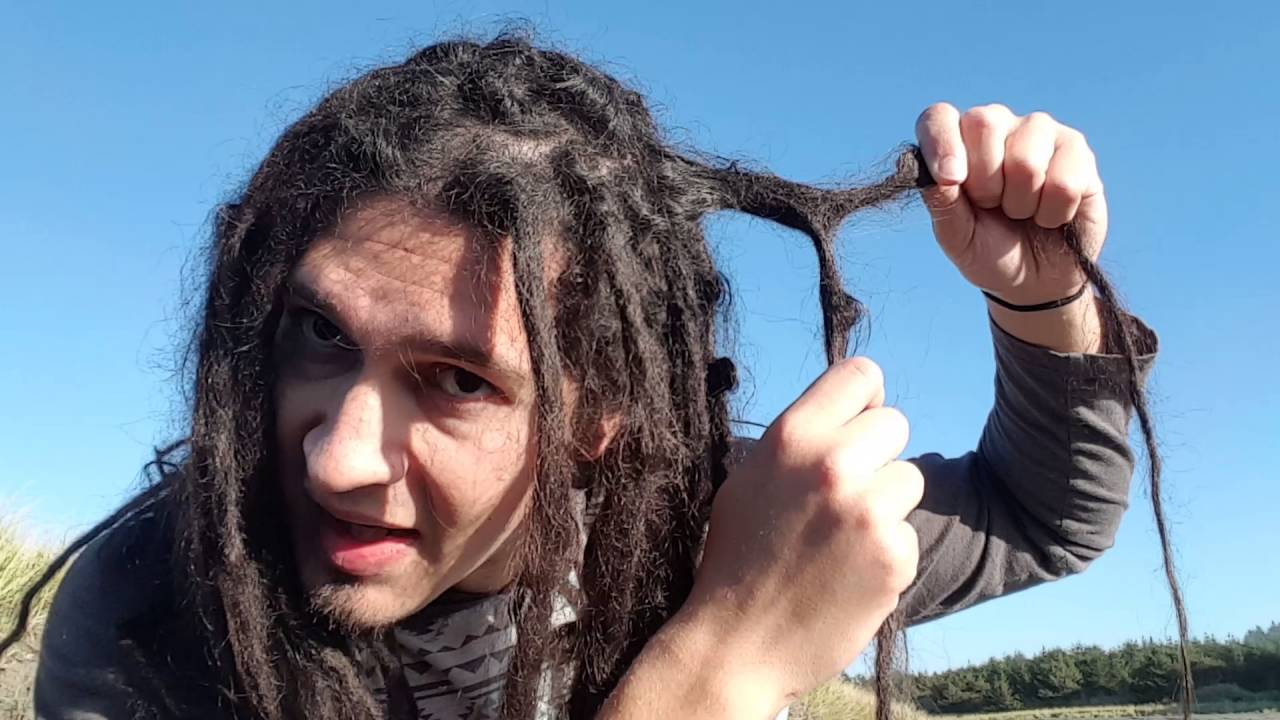 5 month dreadlock update
