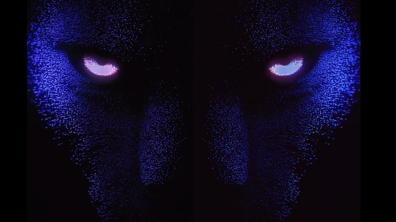 Signal 003 - Purple Panther Galaxy [m:sss]