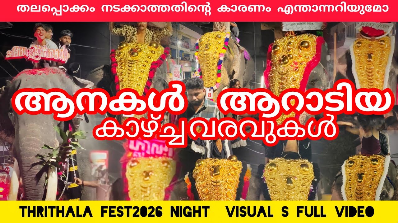 ആനകൾ ആറാടിയ തൃത്താല ഫെസ്റ്റ്ലെ രാത്രി കാഴ്ച്ചകൾ #festival #lathevlogs #elephant #viral #trending 