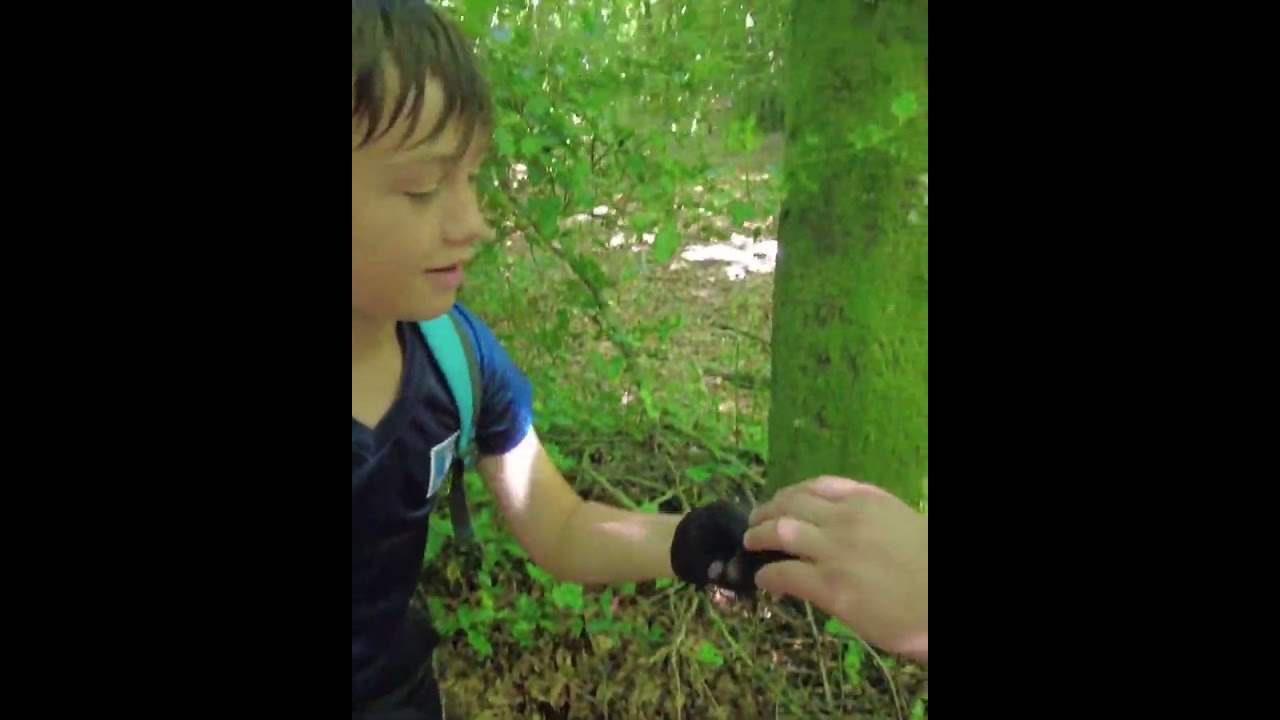 D&eacute;tection de m&eacute;taux en Normandie/France #shorts