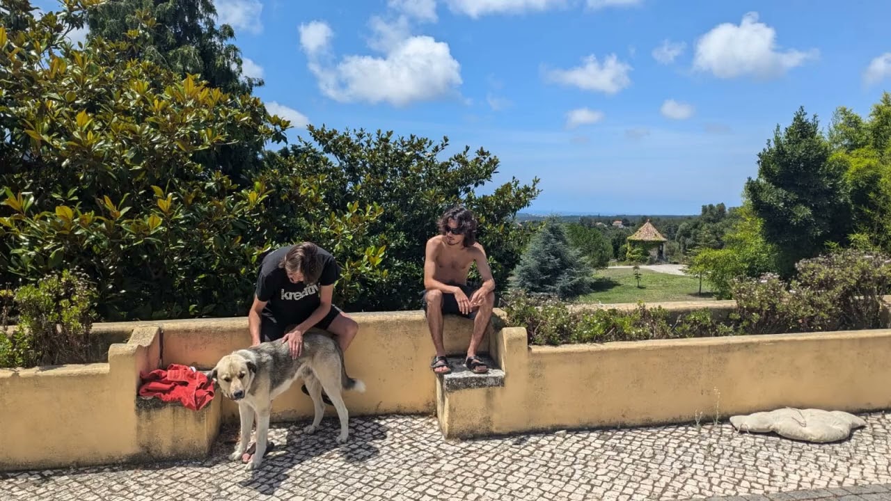 Back to Reality