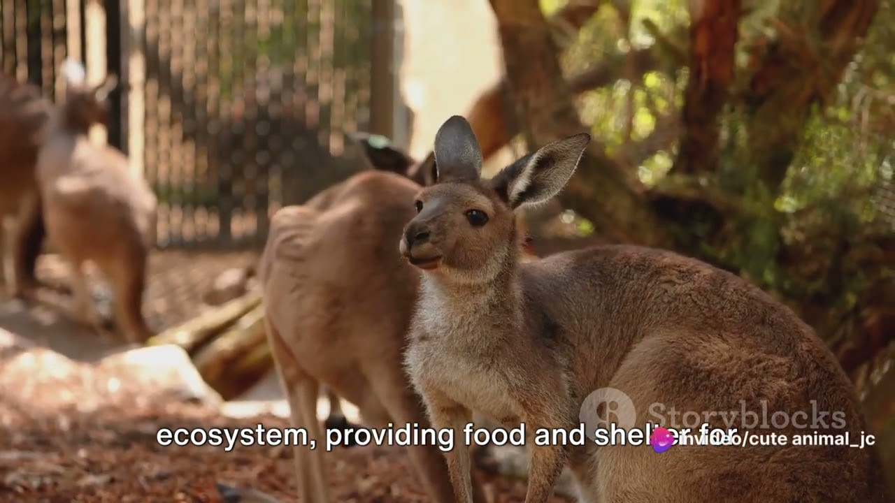 Blue Mountains Biodiversity: Australia's Diverse Alpine Habitats