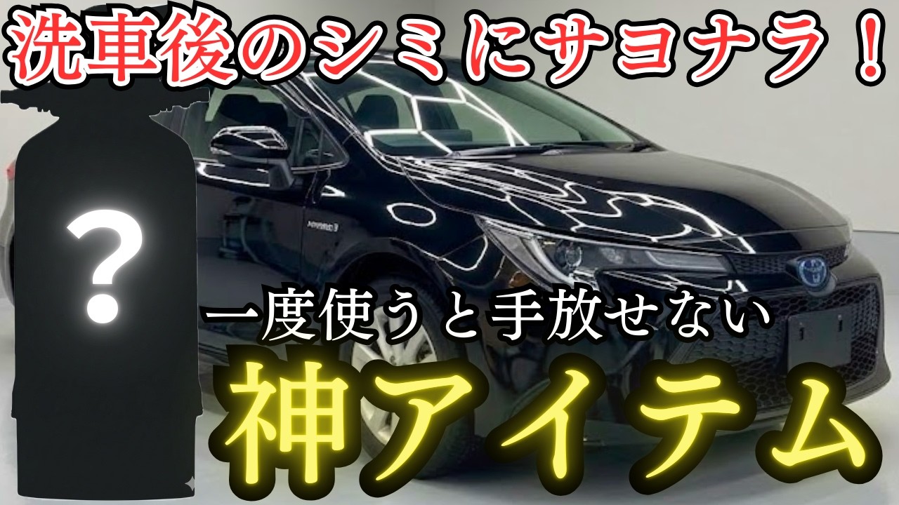 【これこそ求めていた！】ACTIALの切替式純粋機が超便利！