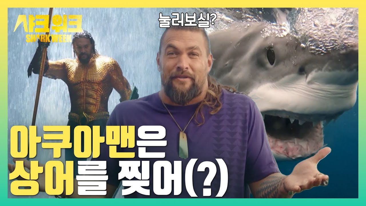 상어가 도대체 모모아? 아쿠아맨이 설명하는 샤크위크의 모든 것! [여름 최대의 물결, 샤크위크!]