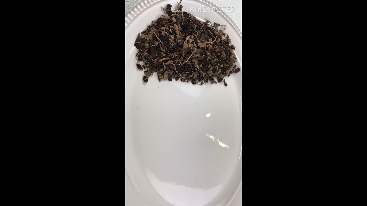How to clean Fresh Haitian Djon Djon