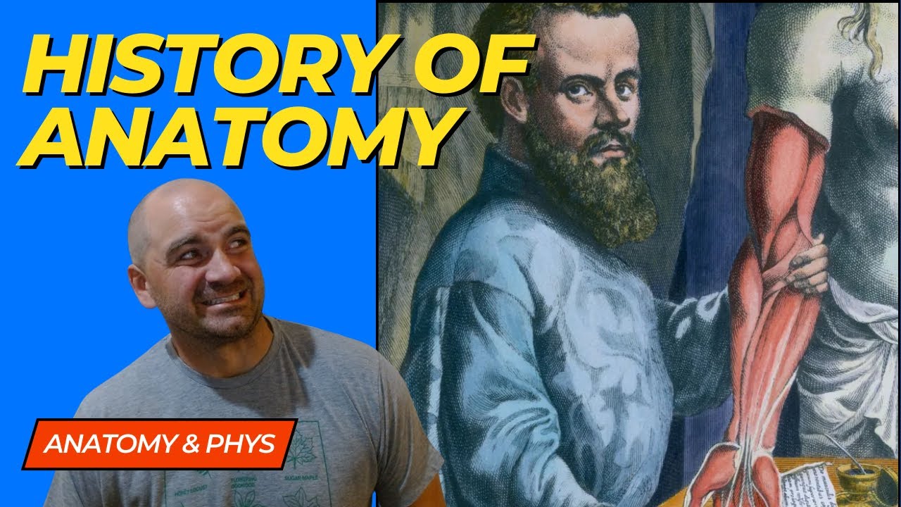 The Weird History of Anatomy and Physiology