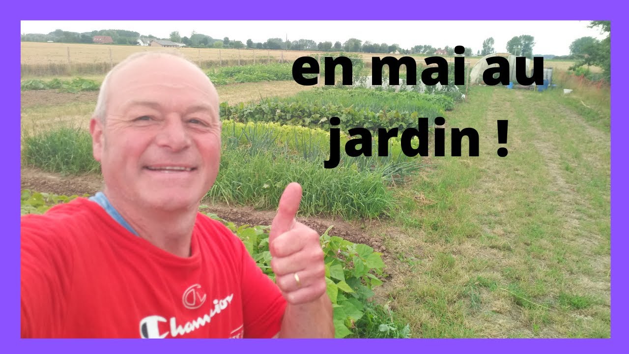 en mai au potager que peut-on semer ?