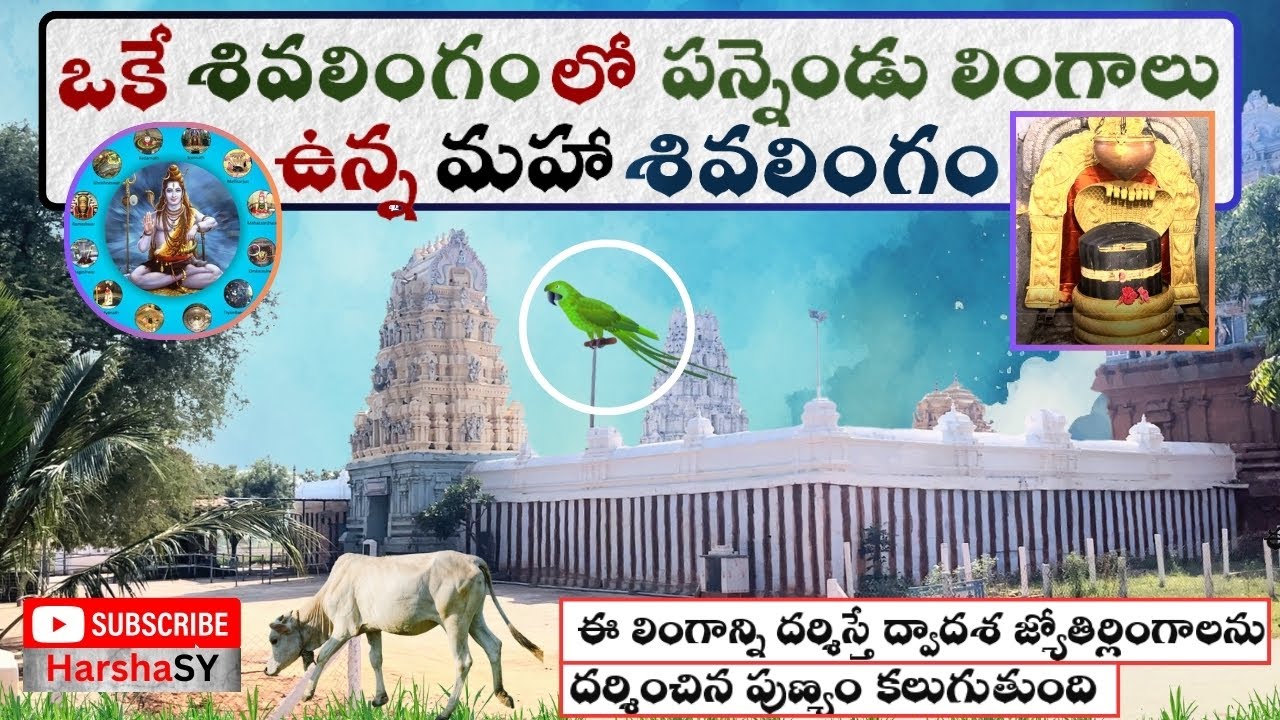 ఈ చిలుక నీరు త్రాగి ఎగిరిపోతే కలియుగ అంతం  | Sangameswara Temple in Animela  | సంగమేశ్వర ఆలయం