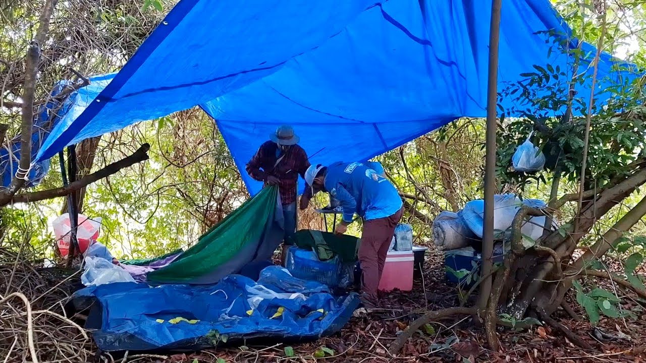 ACAMPAMENTO E PESCARIA RAIZ , PESCAMOS E FIZEMOS PEIXE FRITO NA BEIRA DO RIO.
