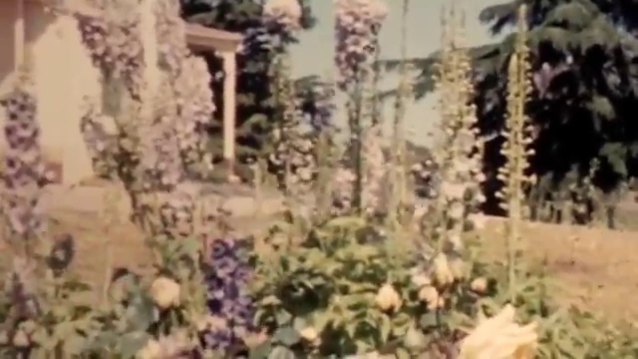 MEMORY LANE: growing up Australian in the 1950s