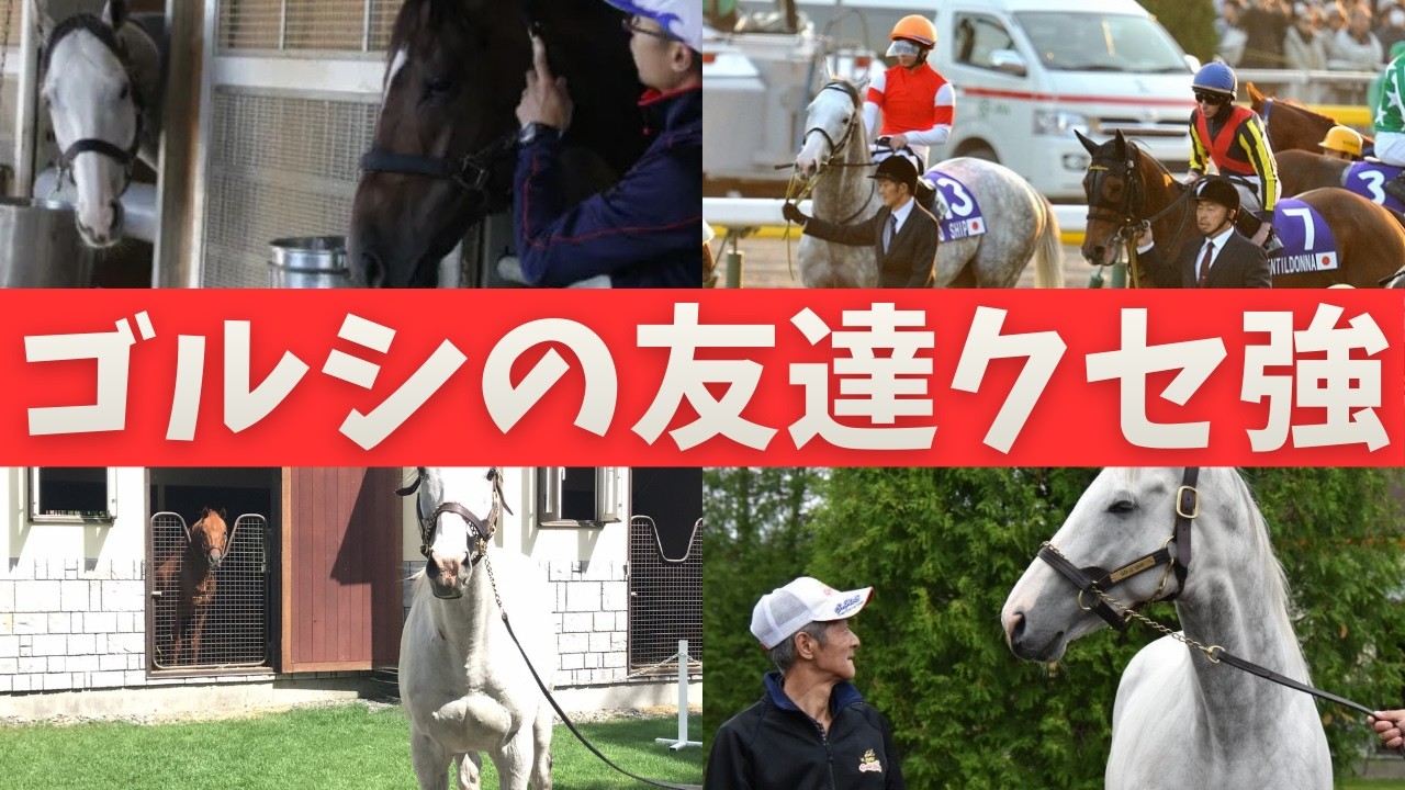 ゴールドシップの交友関係まとめ【総集編】