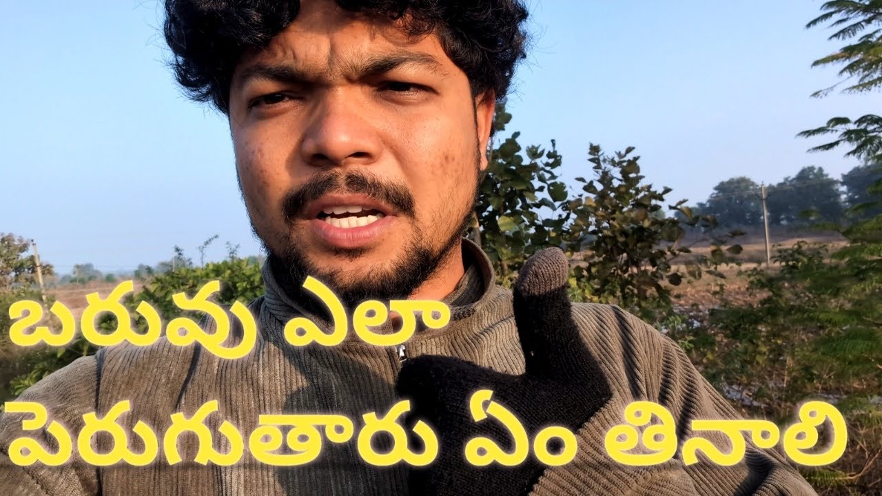 బరువు తొందర గా పెరగడానికి ఏం చేయాలి