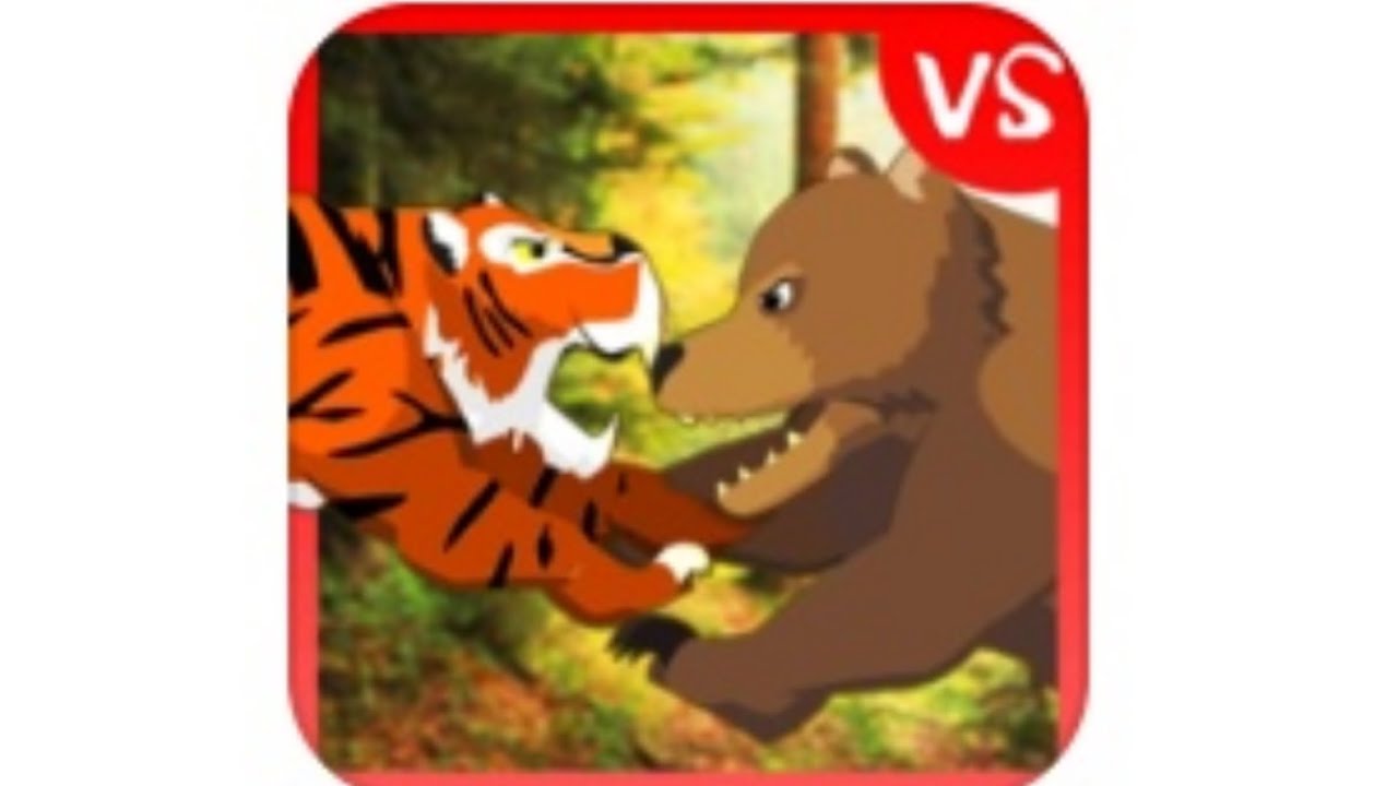 Tiger Fights Bear 2024 DEXUS Wild 
