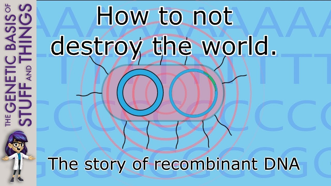 The discovery of recombinant DNA technology (and what we can learn from it)