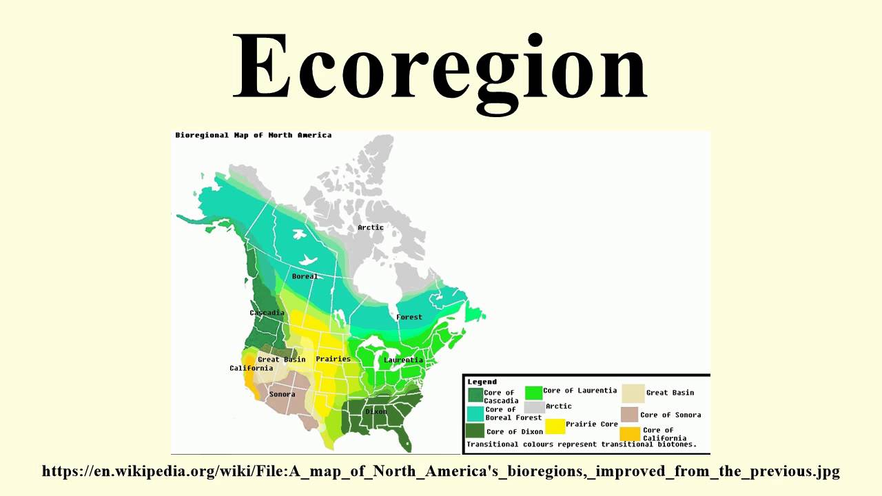 Ecoregion