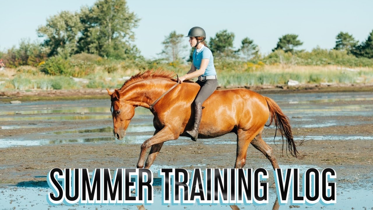 A Week of Training Horses| Summer Fun Vlog