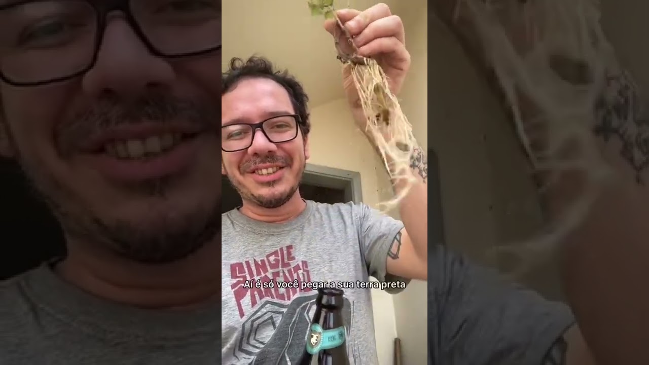 Vem aprender a fazer um clone de manjericonha com oferecimento da 420 Substratos!(CUPOM COZINHA420)