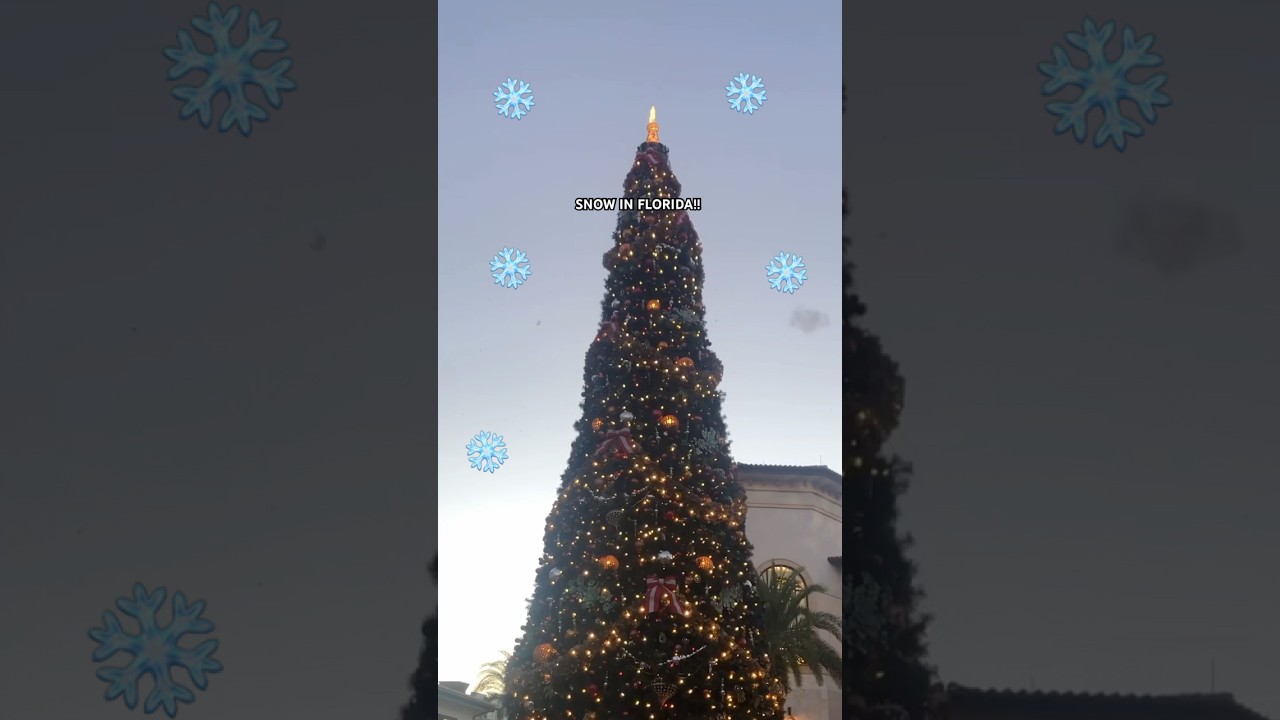 Fake snow in Florida #freethingstodo #happyholidays #merrychristmas #snow #christmas