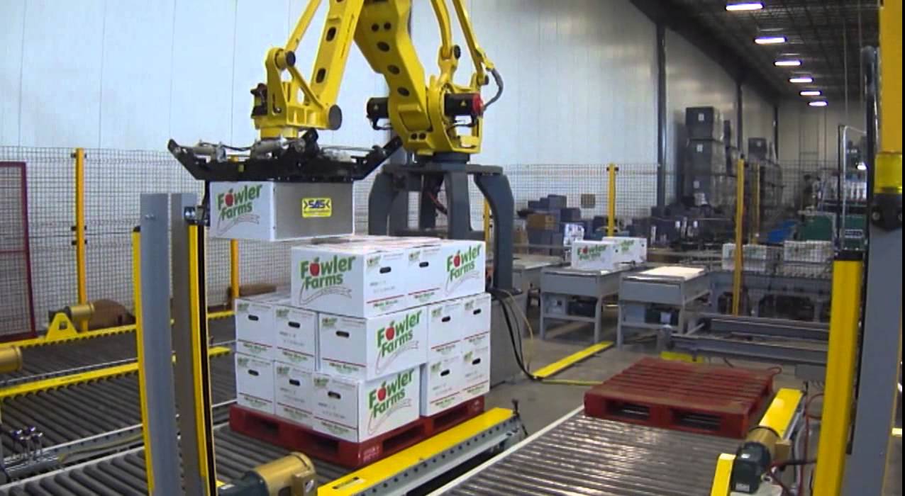 ARPAC's Robotic Conventional Case Palletizer