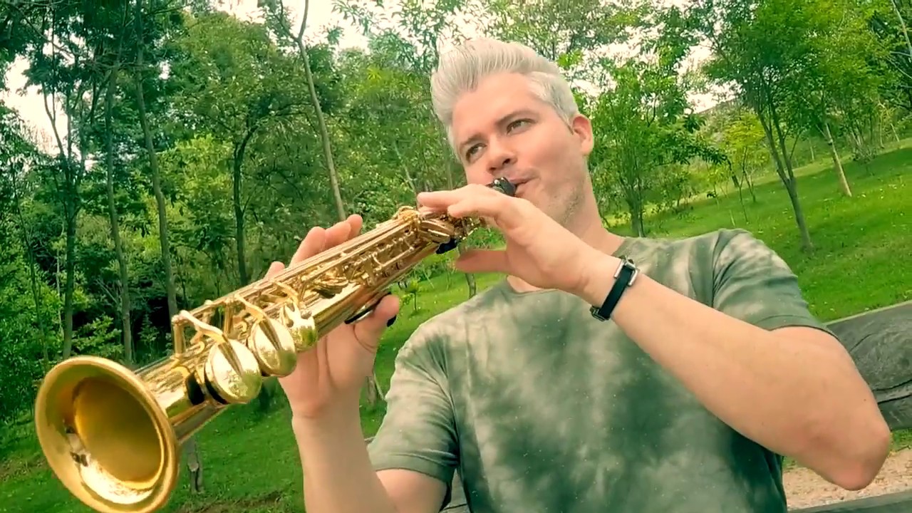 EM TEUS BRAÇOS - FÁBIO COSTA (SAX COVER)