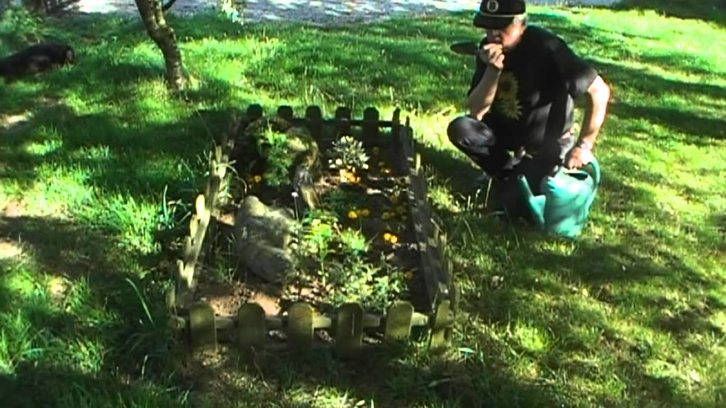 Petite tombe de mes chiens