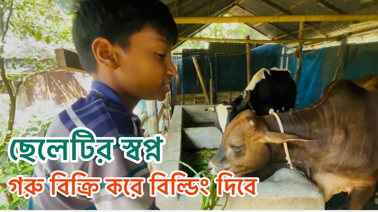 Gouar Khamer 2026 🙂 গরু পালন করে সাবলম্বী হতে চায় ছোট্ট ছেলেটি ॥ 