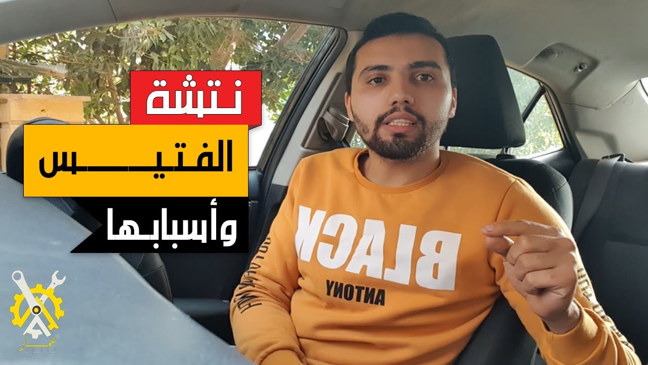 نتشة الفتيس واضرارها والحل