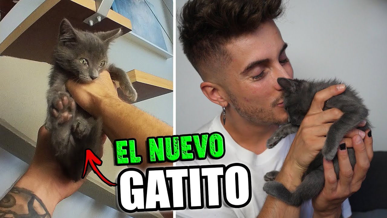 RESCATO A UN NUEVO GATITO DE LA CALLE 🐱 - No me esperaba una cosita así 😻