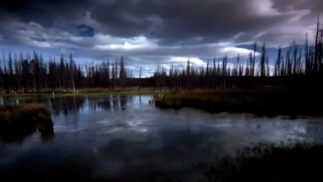 Arrival Of The Monsoon