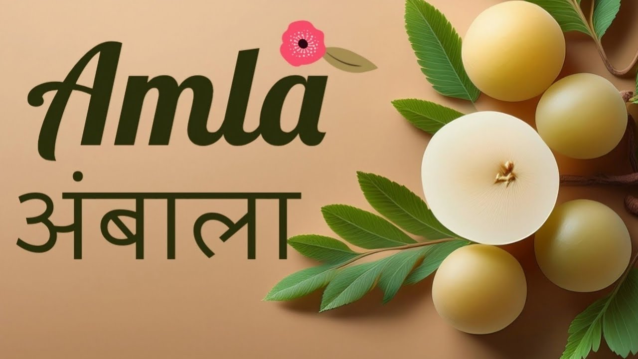 Amla Juice Benefits | बालों के लिए आंवले के फायदे | Current Affairs Colleen