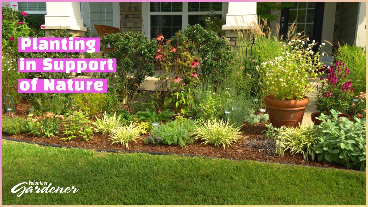 Let Nature be Nature in the Home Landscape | Volunteer Gardener