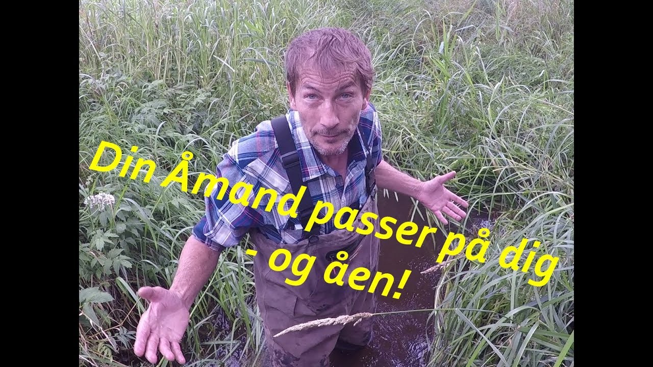 Manglende og dårlig grødeskæring, eller.....
