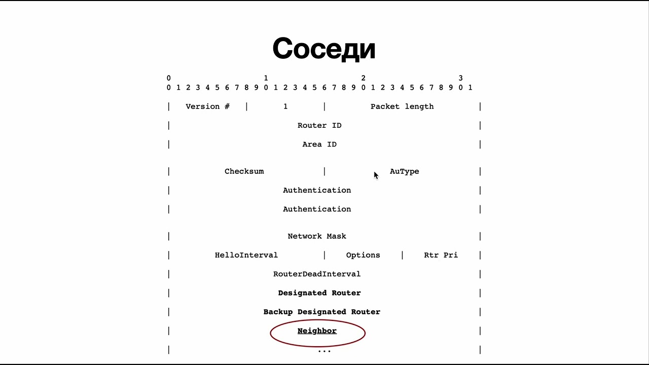 OSPF Neighbors, Hello протокол и  Designated/Backup