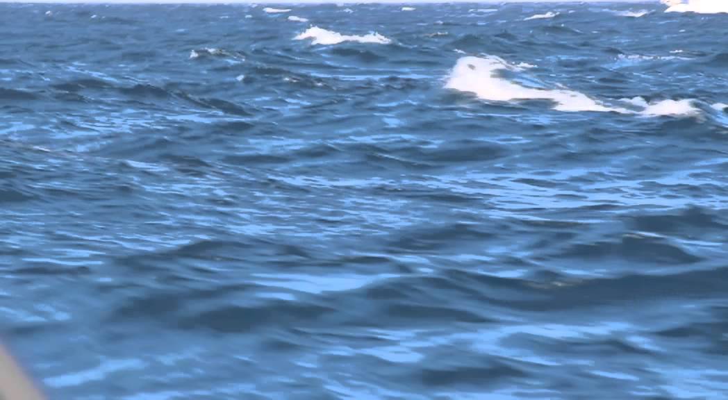 Sailing in 25 knots plus to Cooktown