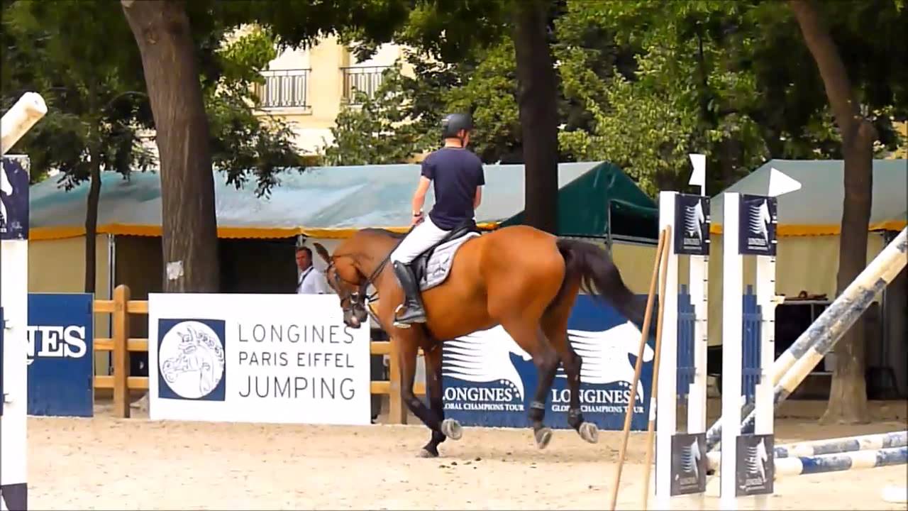 Marcus Ehning, Cristy, Funky, training, paddock, Jumping Eiffel 2015 (GP sunday)