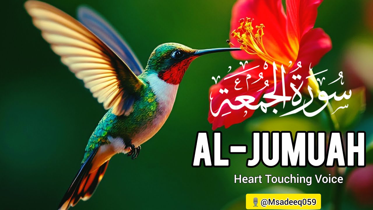 Marvelous Surah Al Jumu'ah سورة الجمعة | Relaxing Heart Touching Voice | @Msadeeq059 