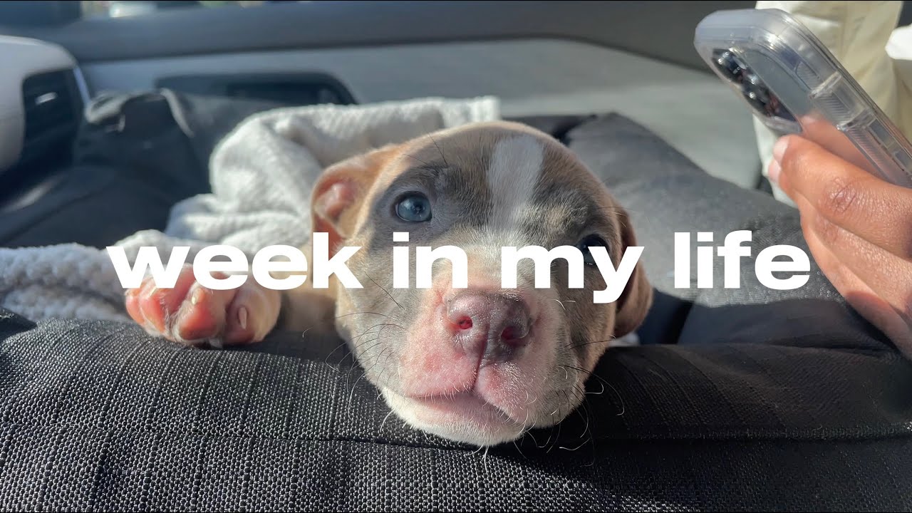 WEEK IN MY LIFE