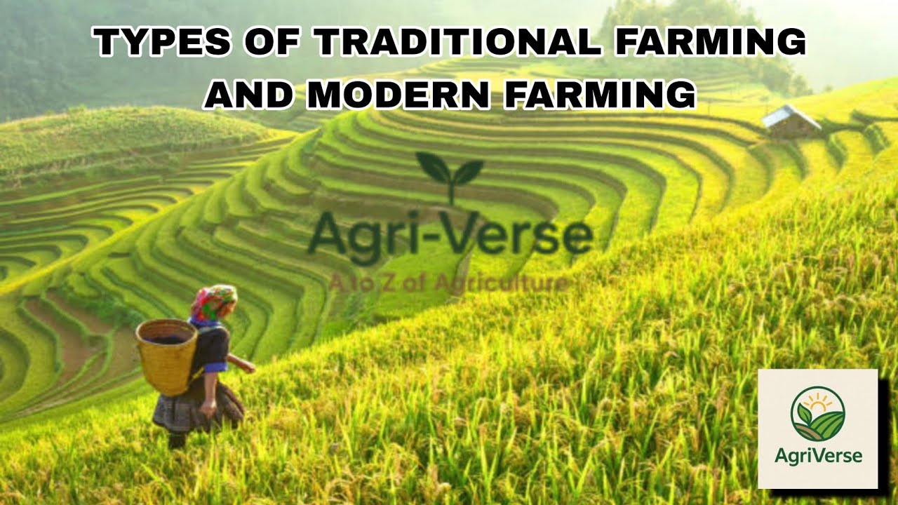 Traditional vs Modern Farming | पारंपरिक बनाम आधुनिक कृषि | Types of Farming Explained
