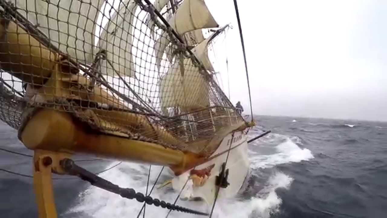 Antarctica and South Georgia Island