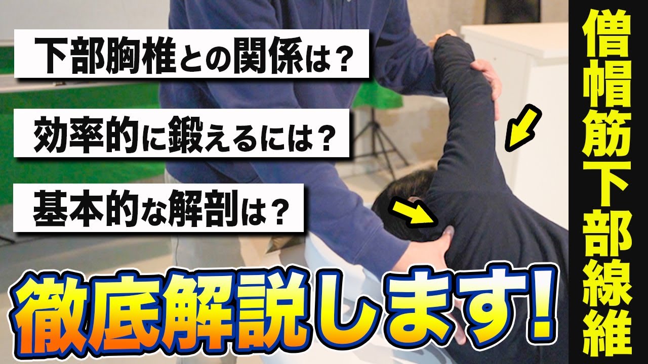 肩関節の可動域改善には、僧帽筋下部が超重要です！