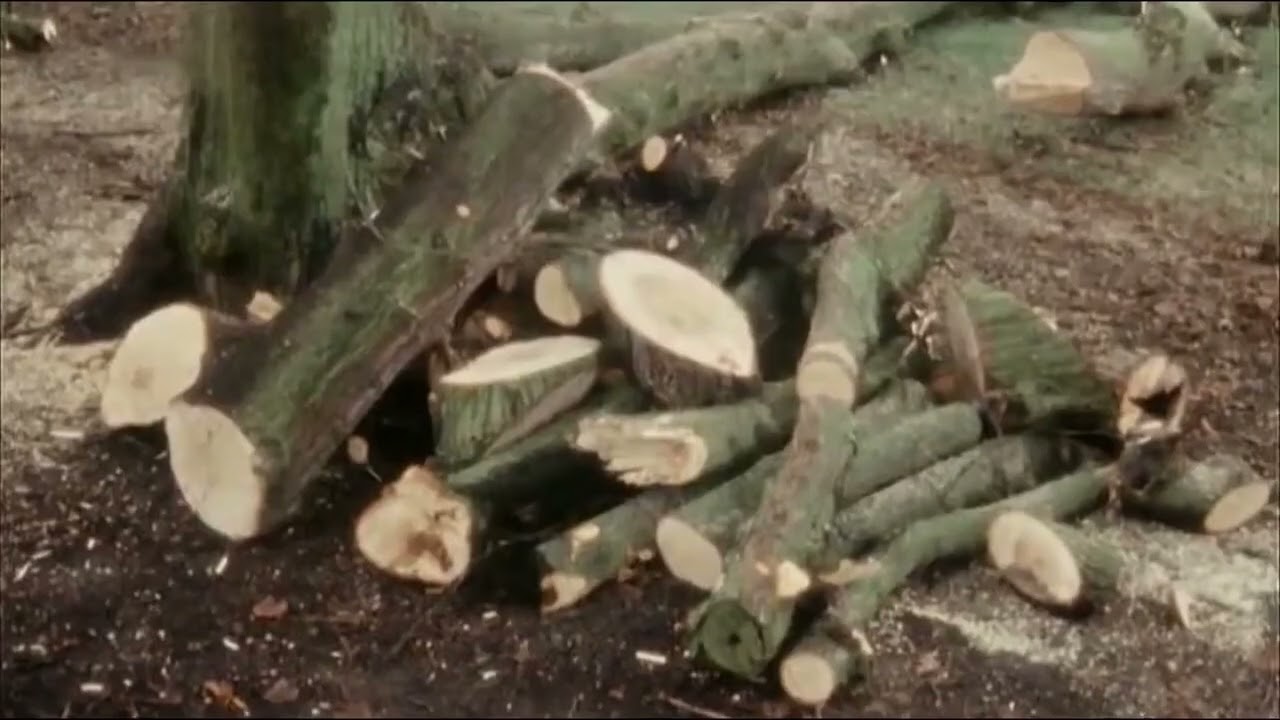 Neue Heimat Ich Bau Dir Ein Schloß 1982