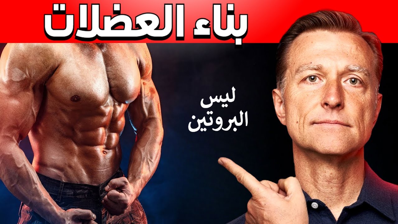 أهم العوامل في بناء العضلات - ما وراء البروتين