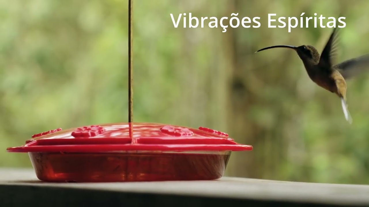 Vibrações Espíritas - Prece e vibração pelo bem universal