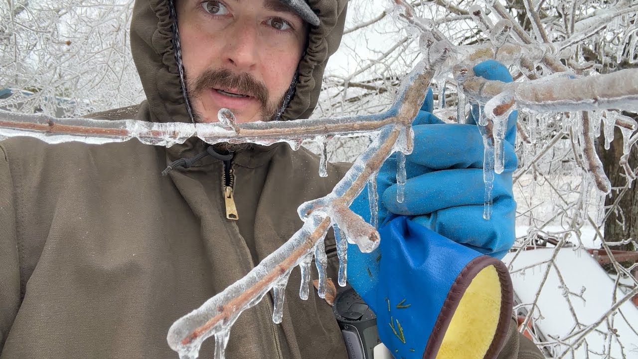 Ice Storm 2026 - Building a Bee Business #106