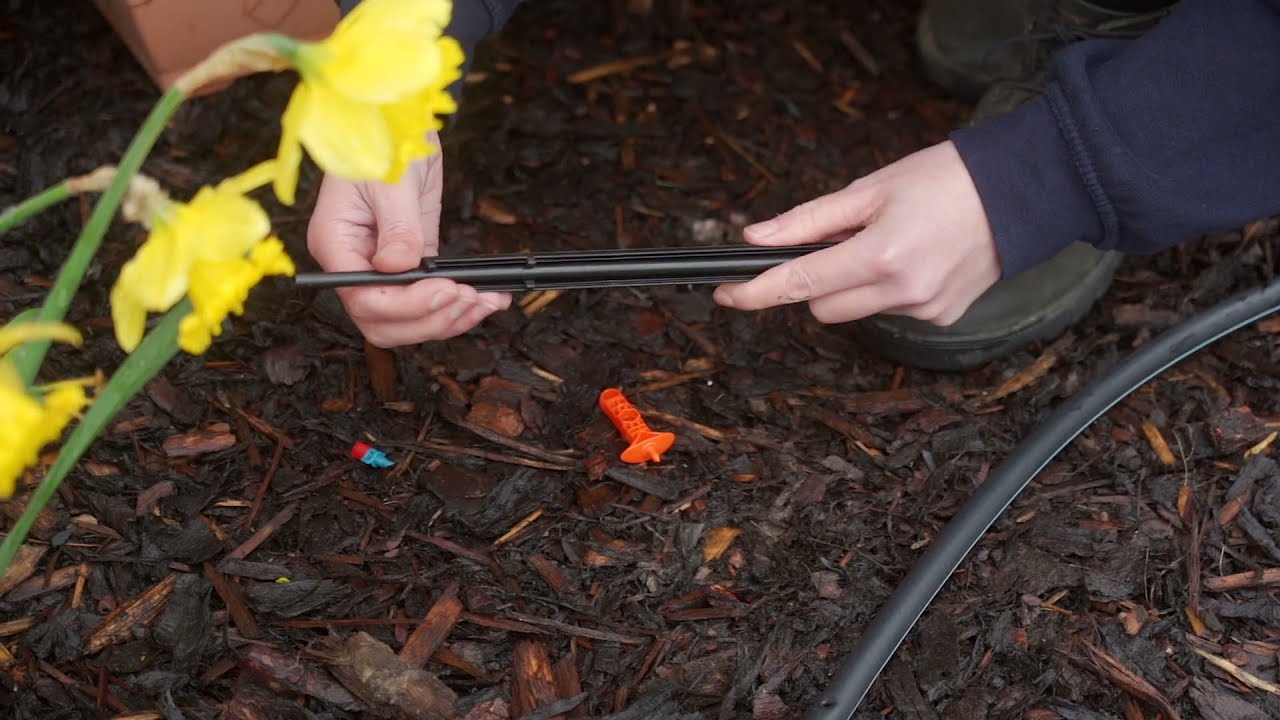 Installing a Micro Spray Stake Assembled with Rigid Riser