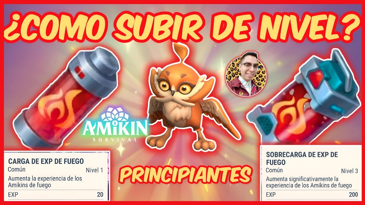 Amikin survival: Subir de nivel y experiencia para los Amikin, Explicación y tutorial principiantes